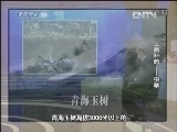 健康之路 《健康之路》 20130126 上品补药——虫草