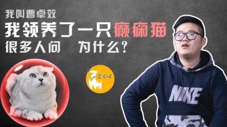 猫癫痫的命运只能是被抛弃或安乐死吗?