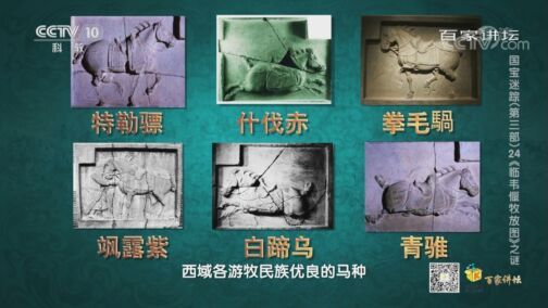 百家讲坛 《百家讲坛》 20200821 国宝迷踪（第三部） 24 《临韦偃牧放图》之谜