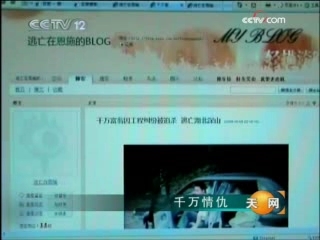 天网 千万情仇