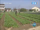 新闻联播 新闻联播 2010-12-05 21:00