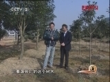 生财有道 《生财有道》 20120111 丹桂和卢德华的农庄梦
