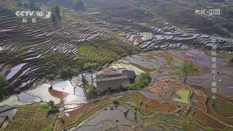 地理中国 《地理·中国》 20260709 中国风景名片——梯田6