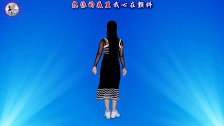 动感时尚广场舞 情歌广场舞《想你的夜晚》优美动听，背面演示
