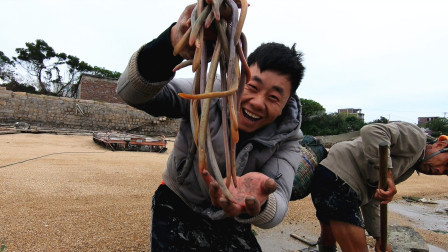 思乡渔夫 阿锋跟锋爸挖昂贵血鳗，没到家就接到老板订购电话，好货不愁卖