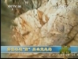 新闻袋袋裤 《新闻袋袋裤》 20131209