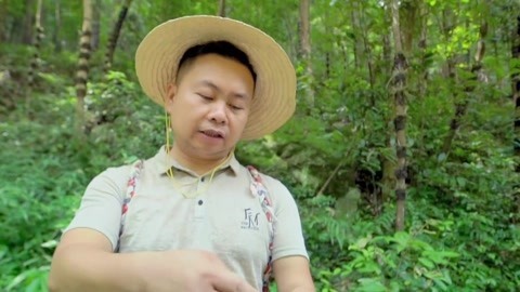 与梦想合拍 何处觅仙草 独在此山中