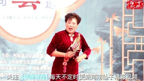 河南坠子《大明英雄传》