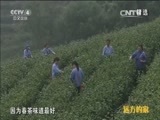 远方的家 《远方的家》 20150419 北纬30°·中国行（64）——生活在武当