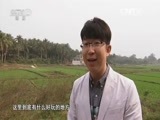 生财有道 《生财有道》 20160603 生态中国系列——海南琼海：犁海耕田 生态富民