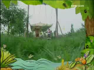 智慧树 智慧树 2008年 第237期