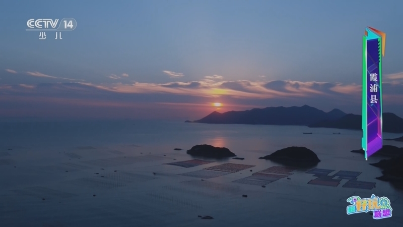 《活力少年派》 20250830