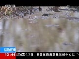 法治在线 《法治在线》 20180213