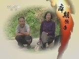 生财有道 [生财有道]大山里的金链条(20120605)