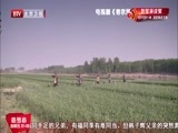 大戏看北京 《大戏看北京》 20150114 《老农民》里的三件事