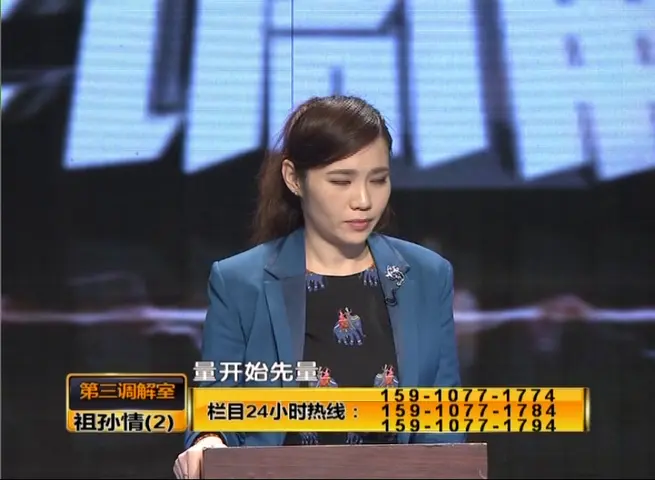 《第三调解室 2015》第2期