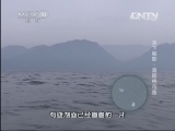 地理中国 《地理中国》 20131116 水下秘影-追踪桃花鱼