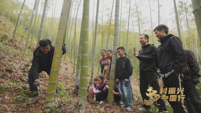 乡村振兴中国行第四季 《乡村振兴中国行》第四季 20250710 青山成“靠山” 风景变“钱景”