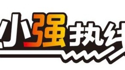小强热线 小强热线20141205