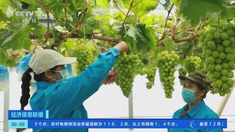 经济信息联播 《经济信息联播》 20221203