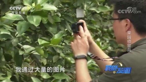 我爱发明 《我爱发明》 20200106 果园侦察兵