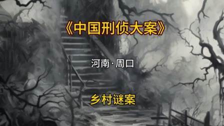 河南周口，一个村庄里发生了两起连环谜案