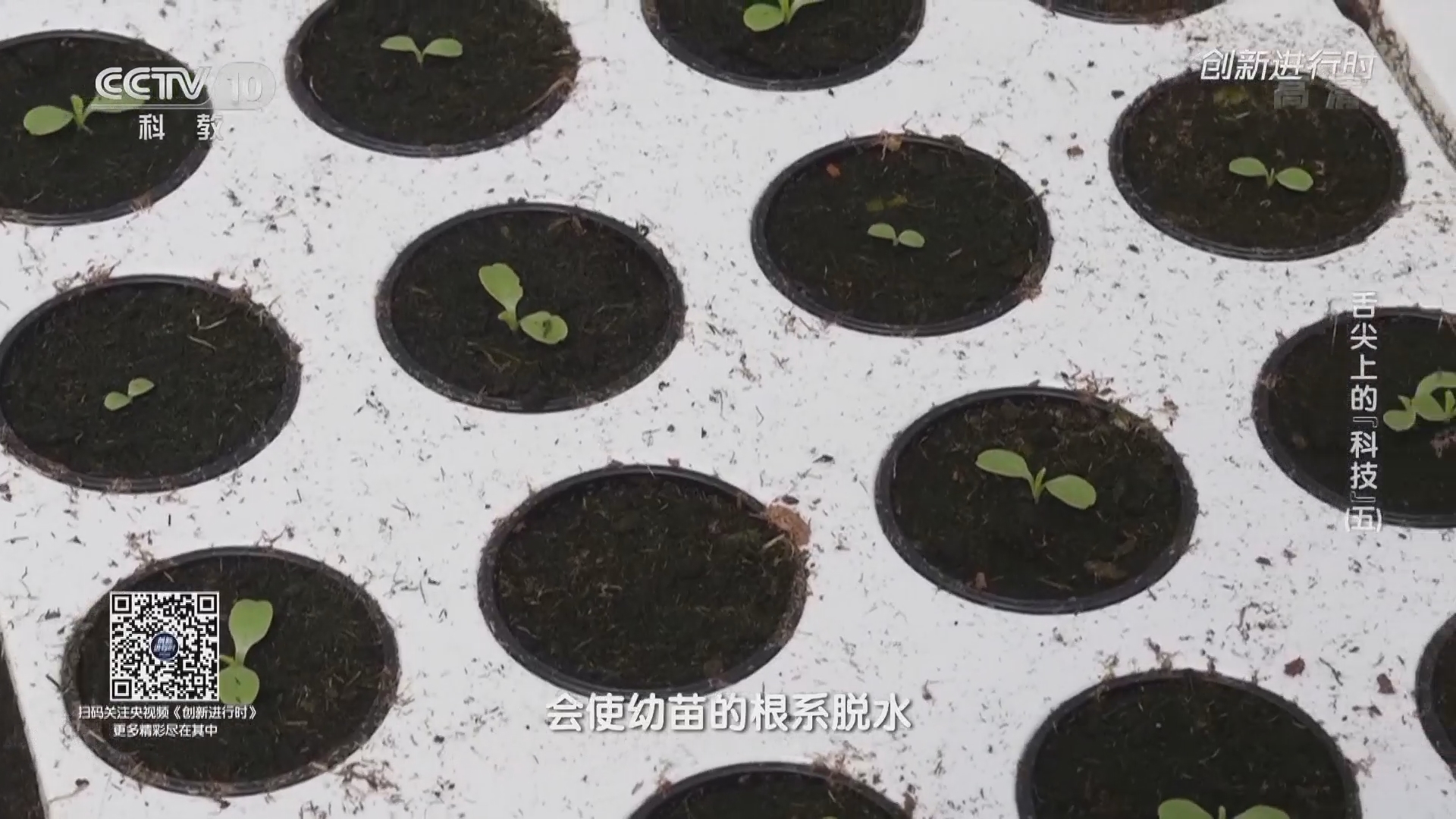 《创新进行时》 20211007 舌尖上的“科技”（五）
