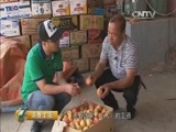 消费主张 《消费主张》 20151020 价格调查——南果梨为何量价齐升？