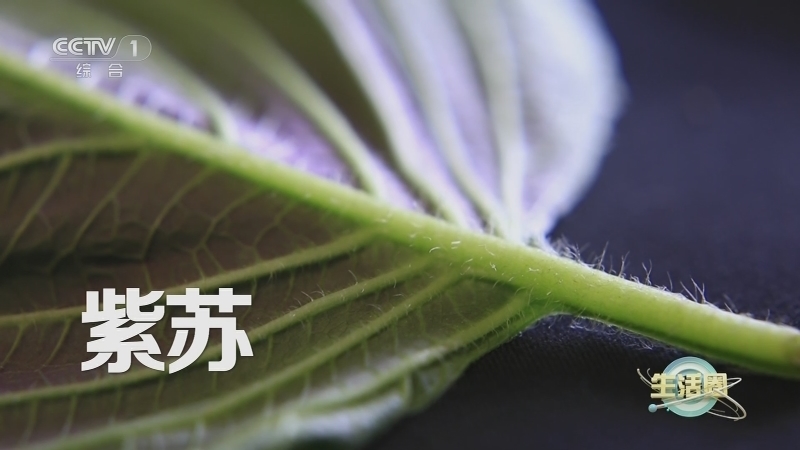生活圈 《生活圈》 20230103