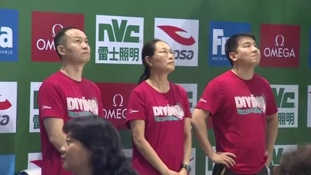 FINA国际泳联跳水系列赛