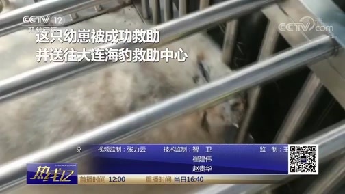 热线12 《热线12》 20190312