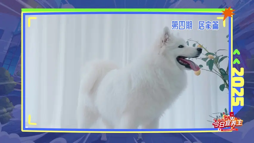 今日宜养生 《今日宜养生》完结篇