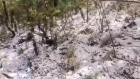 @所有人 30年不遇！重庆巫溪5月突降大雪