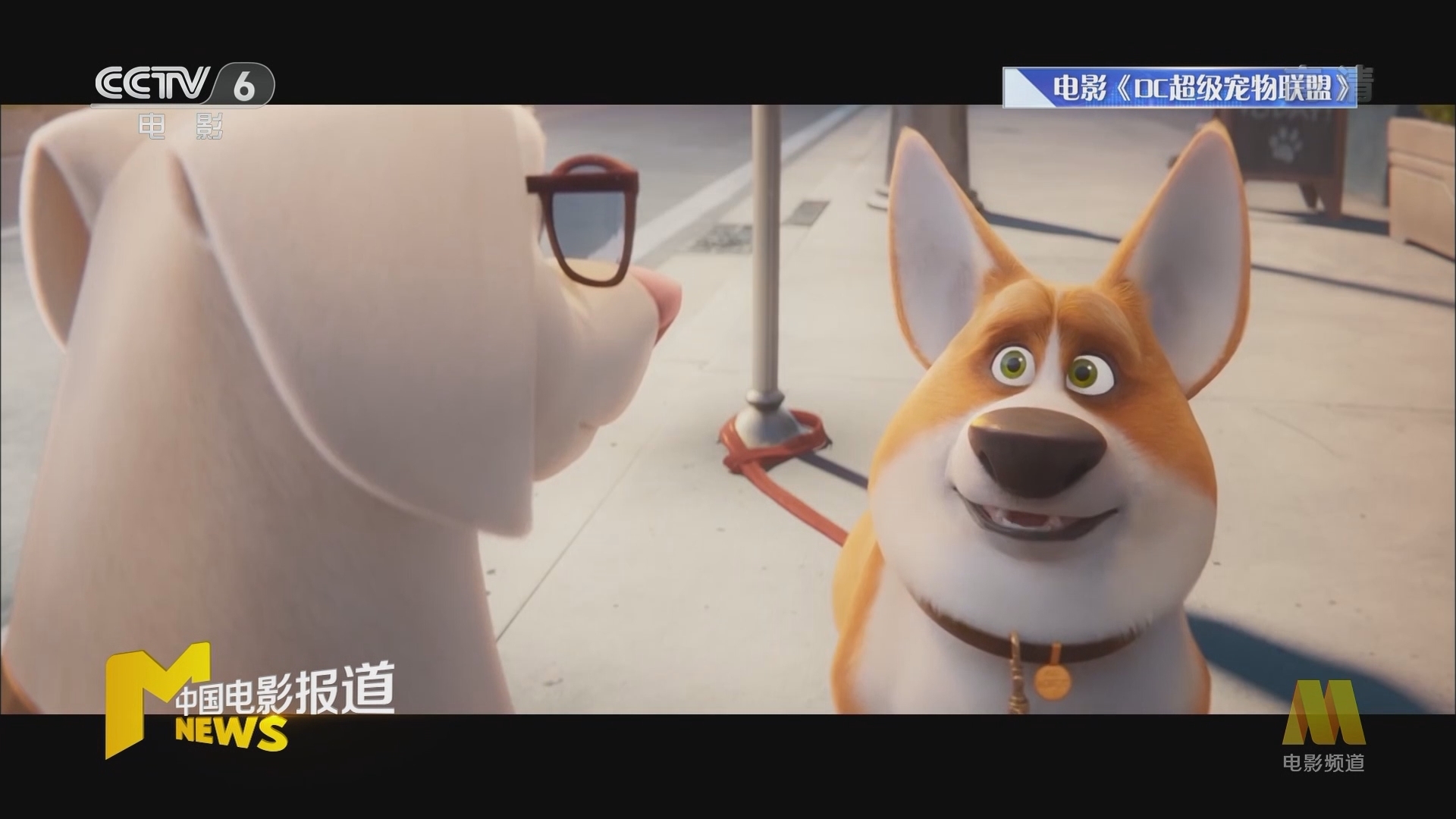 《中国电影报道》 20211126