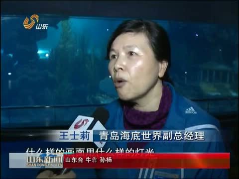 山东新闻联播 《山东新闻联播》 20150222