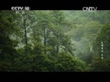 《天赐普洱》 20150518 绿洲