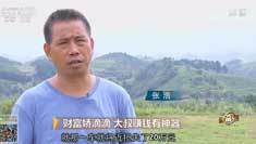 致富经 [致富经]财富娇滴滴 大叔赚钱有神器 20180924