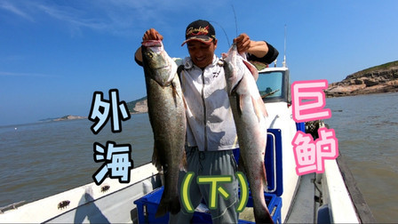 外海鲈鱼成群，阿杰几个小时狂拉60斤鲈鱼，光两条巨物就重30斤