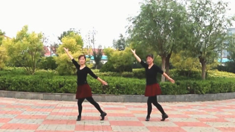广场舞 广场舞《叶问》 演跳版