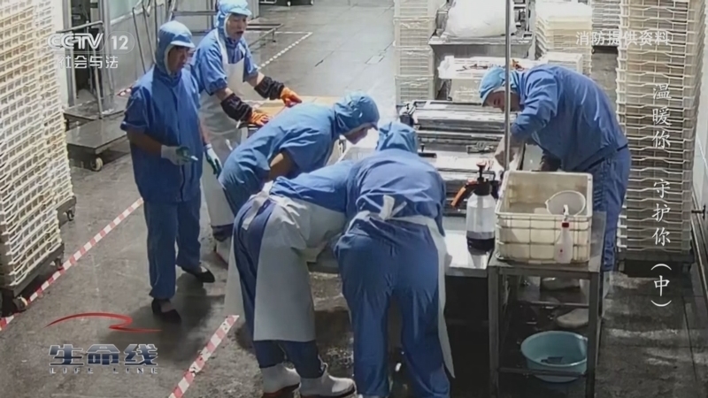生命线 《生命线》 20240502 温暖你 守护你（中）