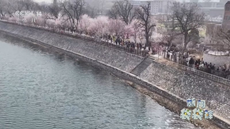 《新闻袋袋裤》 20260319