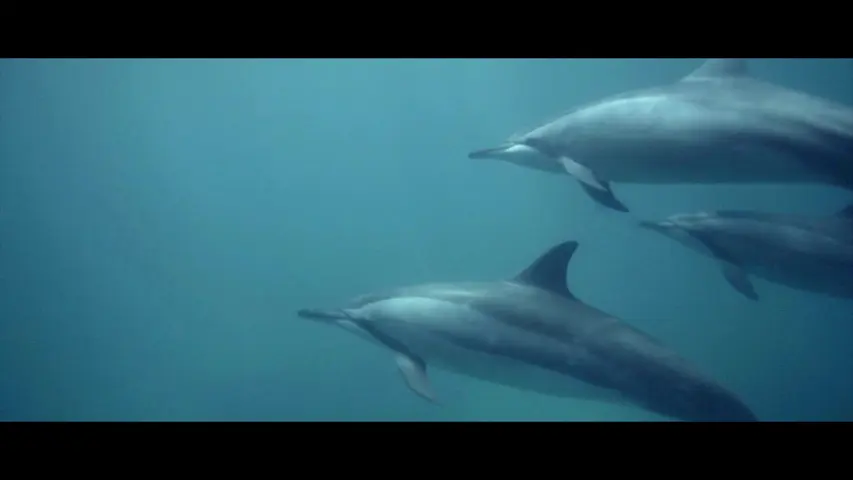 《解密海洋》第1集