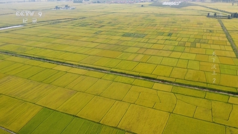 《天下沃土》 第2集 深耕