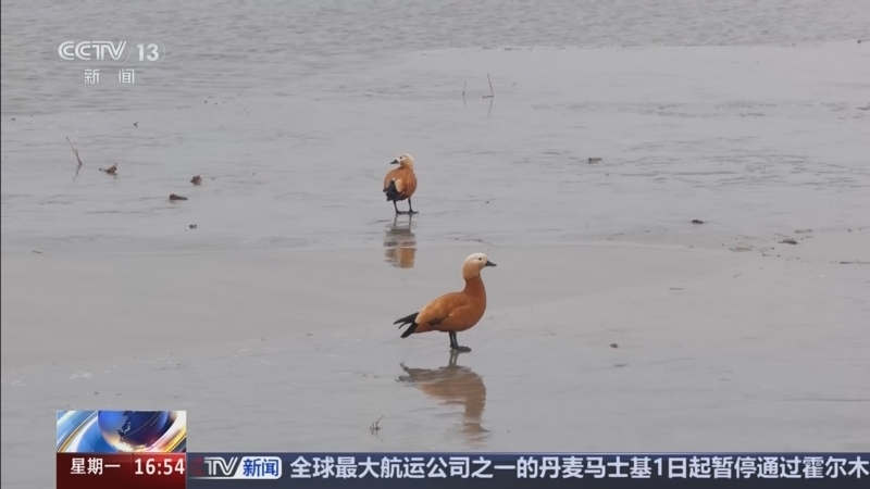 《新闻直播间》 20260302 16:00