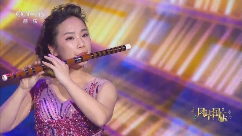 风华国乐 《风华国乐》 20231126