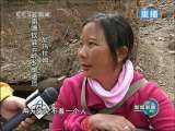 新闻联播 新闻联播 2010-02-21 21:00