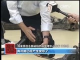 每周质量报告 《每周质量报告》 20141019 又见汽车“召回”