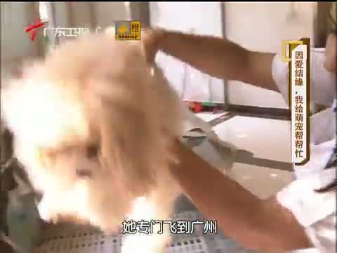 凡人大爱 《凡人大爱》 20131104 因爱结缘 我给萌宠帮帮忙