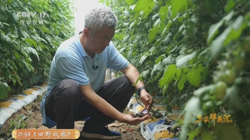 三农群英汇 《三农群英汇》 20260208 盐碱地里找商机