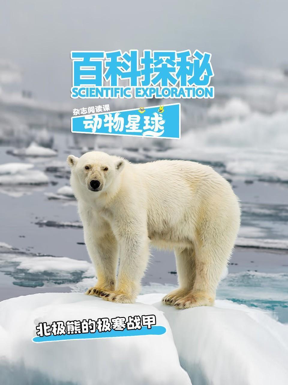 百科探秘动物星球：北极熊的极寒战甲